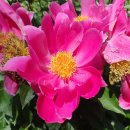 경기둘레길 여주35코스 이미지