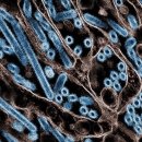 용산농장3호태양광발전소 | 개벽적 전환기의 창조적 재생 위한 생태적 의제 10