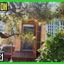 동정동010 이미지