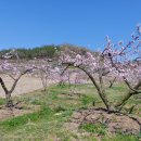 대월농장 이미지