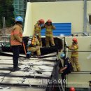 연초초등학교 이미지