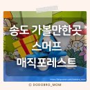 인천 송도 가볼만한곳 | 스머프 매직포레스트 후기