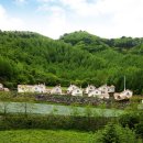 대지팜스 이미지