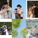 선오월 | [스튜디오 예약] 갓성비 웨딩촬영 졸업! ‘오월스튜디오’ 베이직 패키지 계약 후기 (내돈내산) 🌿