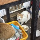 신진도수산 이미지