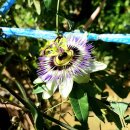 재부 농장 이미지