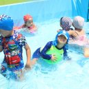 어푸어푸 이미지