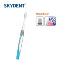 스카이덴트 이미지