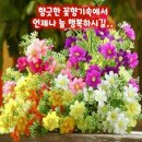 실컨