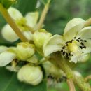 갯골샘터 이미지