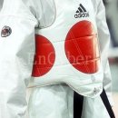 새샘태권도 이미지