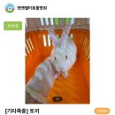 경동동물병원 이미지