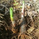 종근농장 이미지