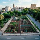 새동네농장 이미지