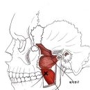 해통백세한의원 이미지