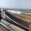 시티팰리스102동 이미지