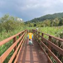 직동교차로 | 울산 상북,언양 - 불고기팜농어촌테마공원 방문 후기