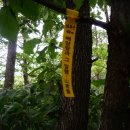 불당14로 이미지