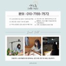 어상천초등학교 | [샌드아트 체험] 충북 단양 어상천 초등학교 샌드아트 체험 !