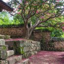 제33회 정부인 안동장씨 추모여성 휘호대회 작품전시회 | <정부인안동장씨추모여성휘호대회> 기념 초대작가 그룹전, 그리고 병산서원