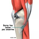 경희푸른숲한의원 이미지