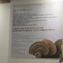 부평북부점 | 부평문화의거리 맛집 점심 혼밥 가능한 24시 뼈반집 후기