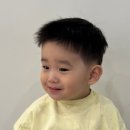 (주)스튜디오애니멀 | 부천 아기미용실 박승철헤어 상동점 아기 아이비리그컷 후기