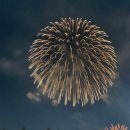 철원 애견 | 10월의 시작은 스트레스 불꽃축제 모든게 다 터지는 주