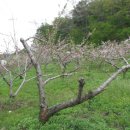 문산체육공원 이미지