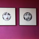 로로 7 (Roro7) 이미지