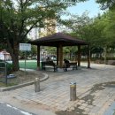 사하라동물병원 이미지