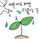 장수조이월드 이미지