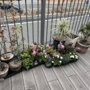 도노 | [당진] 버터떡 맛있는 카페 도노 후기🧈