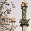 낙원미용실 이미지