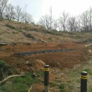 수원-0207 이미지