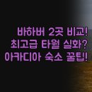캣츠모텔 | 바 하버 모텔 인 2곳 솔직 비교 후기 | 객실 조식 청결도 최고급 타월까지 상세 분석 | 아카디아 국립...