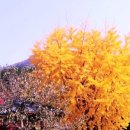 오늘참예쁘다(2) 이미지