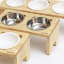 캣토피아 이미지