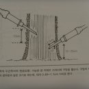 식보산업기사(수간주사방법) 이미지