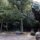 동회천 이미지