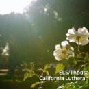 ELS어학원 이미지