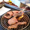 숲속애소 이미지