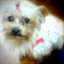 모코모코 이미지