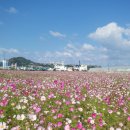 부곡동 돌담해안숲공원 이미지