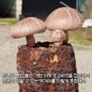 박준호농장 이미지