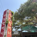 산밑할머니식당 | 대전 맛집에 뜬 관평동 산밑할머니 내돈내산 후기