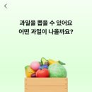 과일뱅크