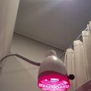 마리마취통증의학과의원 이미지