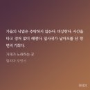 가재마을911동앞 | [성장소설 추천 리뷰] 가재가 노래하는 곳/델리아 오언스 영화화 원작소설 후기