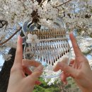 노래로 배우는 우쿨렐레 | [안양생활악기] 악기의 문턱을 낮춘, 쉽고, 즐거운 '우쿨렐레&amp;칼림바'